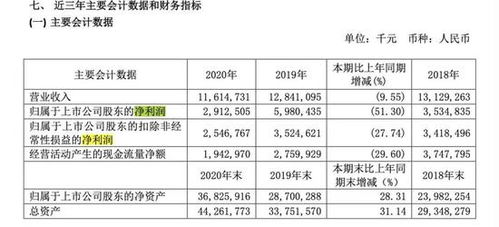 周鴻祎的追風(fēng)之旅 360押注新造車，互聯(lián)網(wǎng)安全巨頭的轉(zhuǎn)型之困